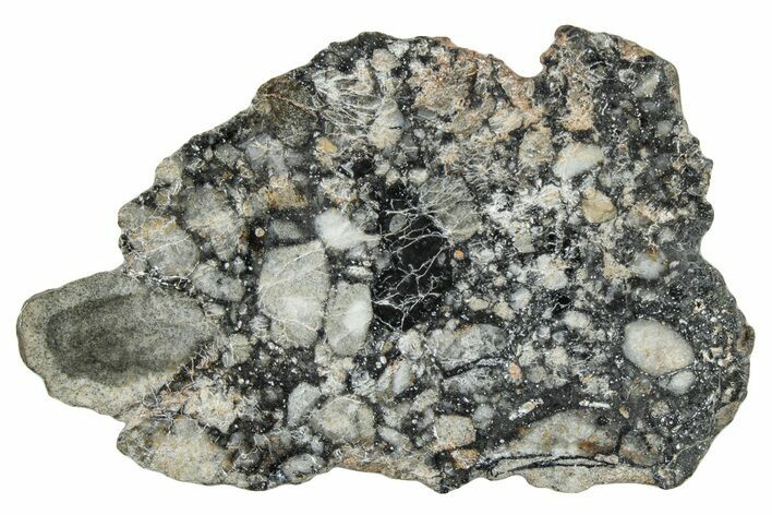 Polished Lunar Meteorite ( g) Slice - Ajdabiya #301091